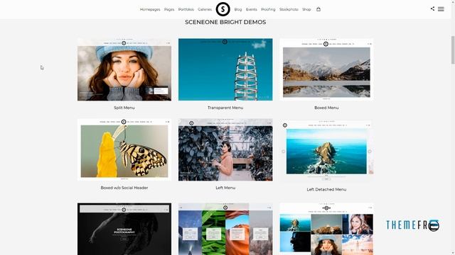 SceneOne Photography Theme for WordPress Jirair Jed смотреть онлайн