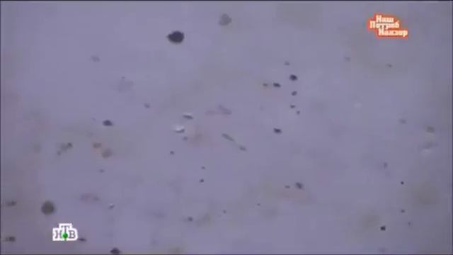 Биологическая опасность смотреть онлайн