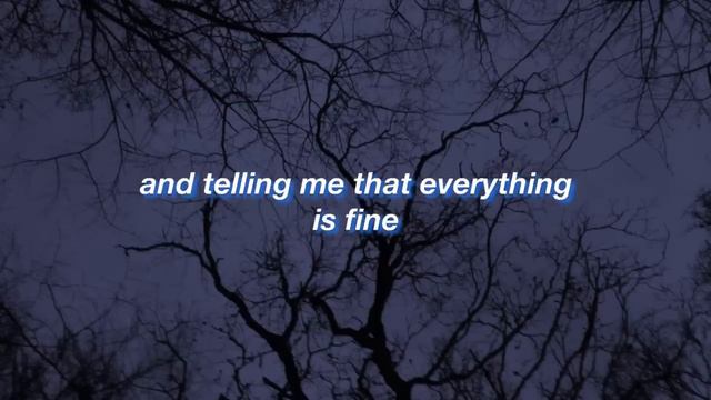 Lana Del Rey || Dark Paradise || (Lyrics)