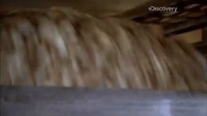 Вискоза: как это сделано?