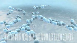 Theraflex — «Classmates» I Терафлекс — «Однокласники»