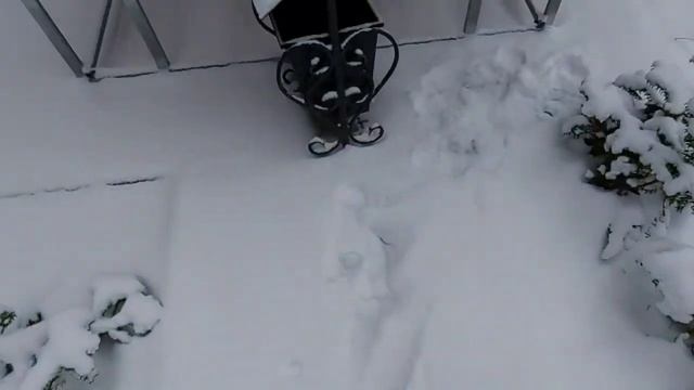 Экскурсия в мини-зоопарк (санаторий Надзея) смотреть онлайн