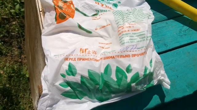 Как избавиться от черной блошки, крестоцветная блошка