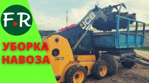 Уборка навоза на овечьей ферме. Вручную или механизировано?  Племрепродуктор Атис СХ.