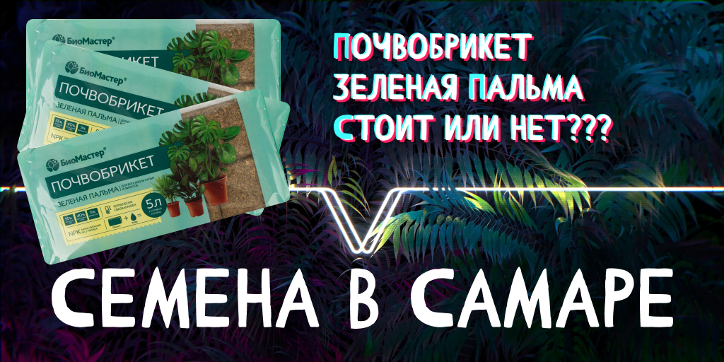 Почвобрикет Зеленая пальма от фирмы Биомастер|Полный обзор почва для пальмы