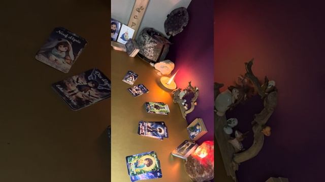 Review « Taroracle » ! Viens découvrir celui ci et écouter le message qu’il a transmettre ? смотреть онлайн