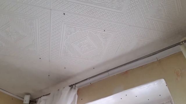 Нашествие божьих коровок в дома города Назарово смотреть онлайн