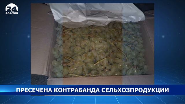 Пресечена контрабанда более 11 тонн сельхозпродукции - ГКНБ смотреть онлайн