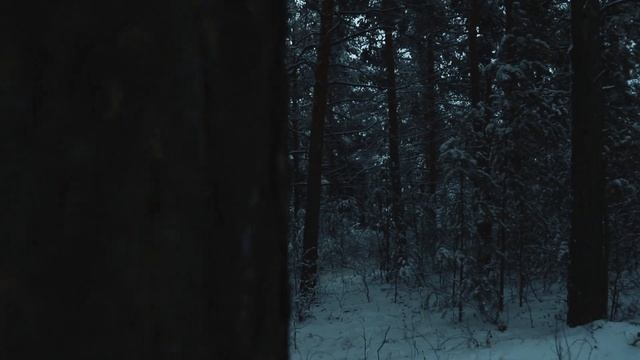 winter 6d mark 2 смотреть онлайн