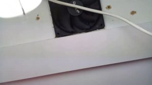 Выращивание Автоцвета Сорт Auto Northern Lighst 14 день.ЭСЛ 150w