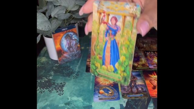 Tarot Reading February 2022 Bonus Love Virgo "They Want You" смотреть онлайн