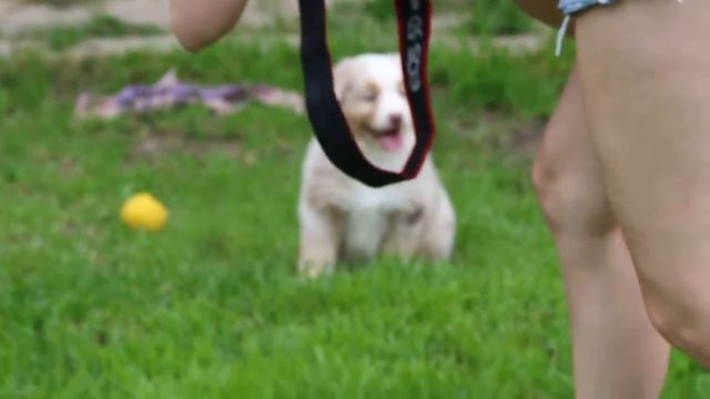 Помет "Х" на видео детям 1 месяц и 1 неделя смотреть онлайн