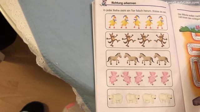 LadyLisa распознала задание по картинкам, не читая условия задачи смотреть онлайн