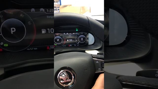 Skoda Kamiq смотреть онлайн