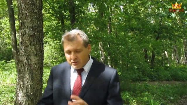 Какие 4 типа сетевиков мы встречаем? Что это за типы? ОТВЕТ! смотреть онлайн