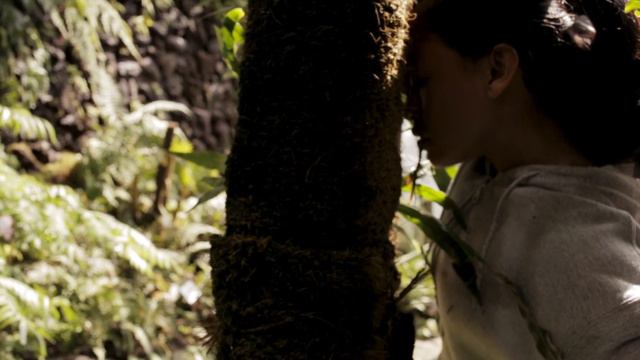 Teaser Selva 2.0 смотреть онлайн