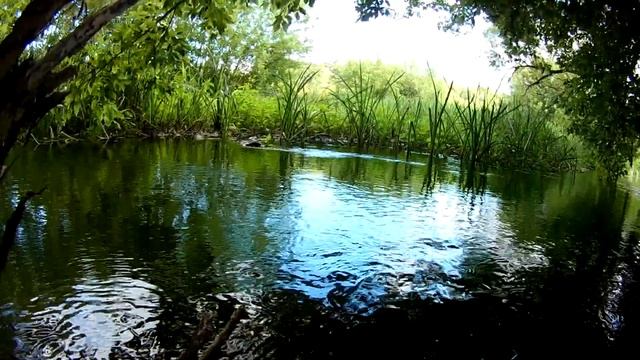 Рыбалка с рогаткой на ГОЛАВЛЯ! SLINGSHOT FISHING смотреть онлайн