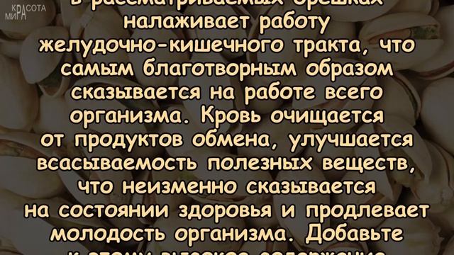САМЫЕ ВКУСНЫЕ И ПОЛЕЗНЫЕ ОРЕШКИ смотреть онлайн