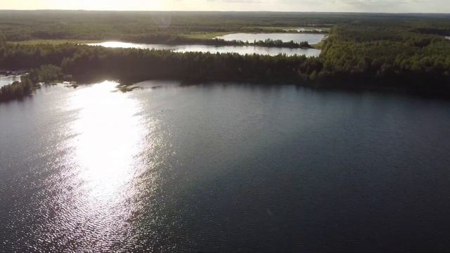 Сокольи озера, Ленинградская область, аэросъемка. смотреть онлайн