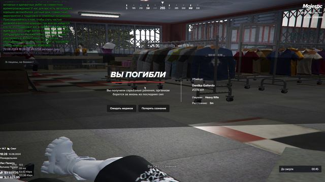 Grand Theft Auto V 2024.08.12