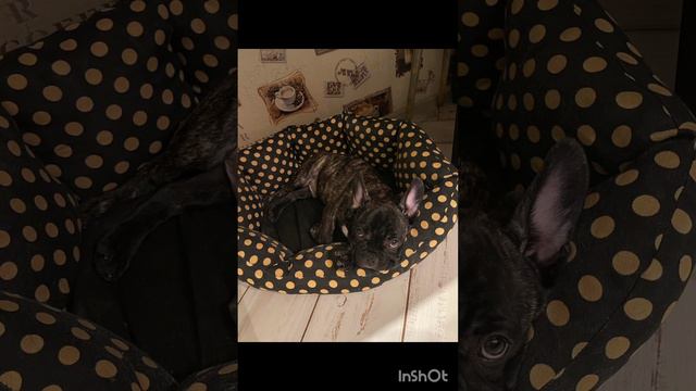 у були есть друзья?? конечно смотреть онлайн