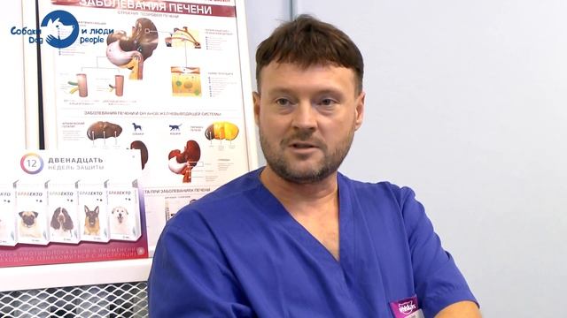 Клещи опасны даже зимой (Совет ветеринара Алексея Золототрубова)