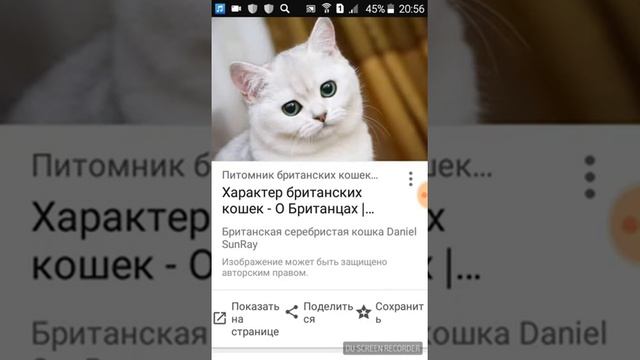 Как сохранить фотографию из интернета. смотреть онлайн