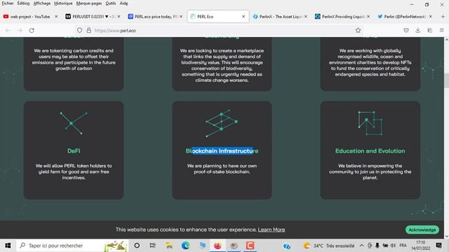 مشروع عملة Perlin(PERL) والأهداف الاستثمارية للعملة смотреть онлайн