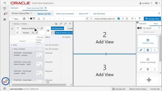 Retail Documentation–RPAS Cloud Edition: Adjustable Views смотреть онлайн