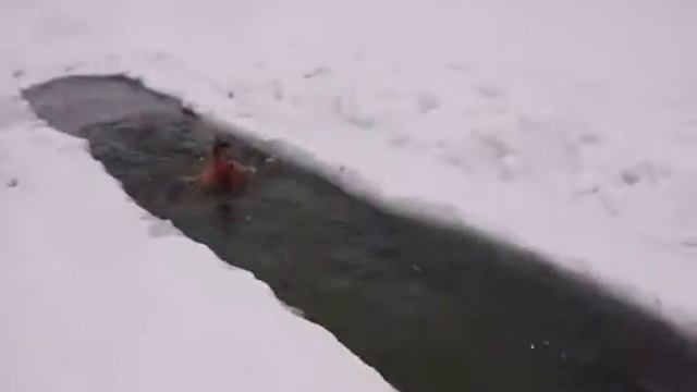 Заплыв)))) смотреть онлайн