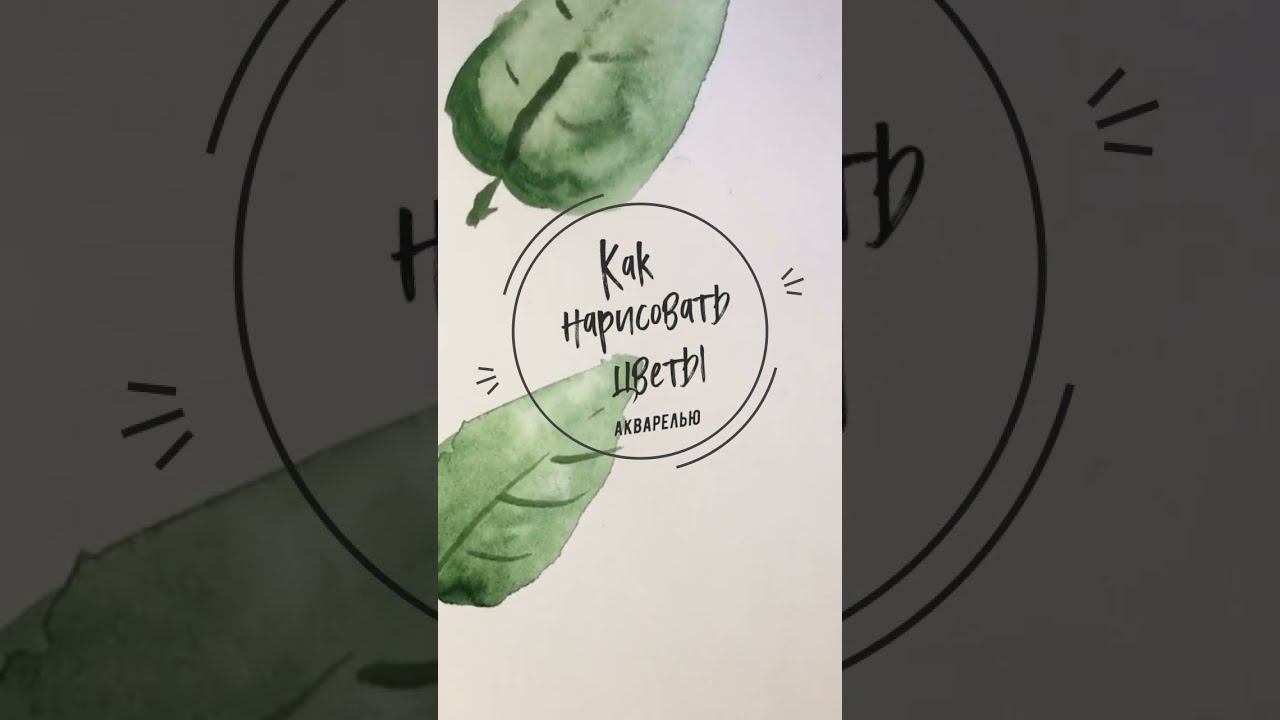 Как рисовать цветы акварелью. Уроки рисования. Как нарисовать пошагово. смотреть онлайн