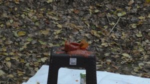 На что способна рогатка. Большой тест рогатки. От арбуза до тушёнки.what is a slingshot capable of.