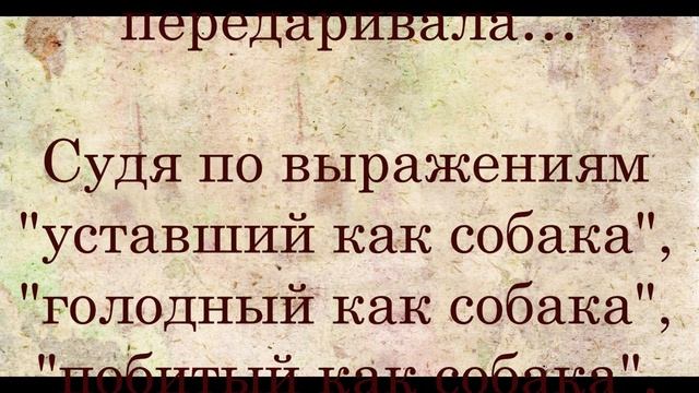 Свежие анекдоты 2021. Смешные до слез 5. смотреть онлайн
