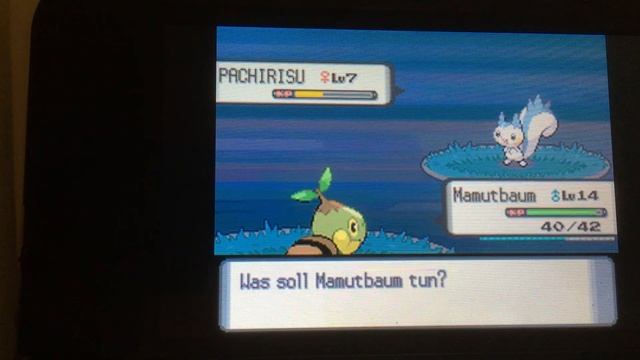 Pokemon Perl | Folge 8 | Die Blumen Stadt смотреть онлайн