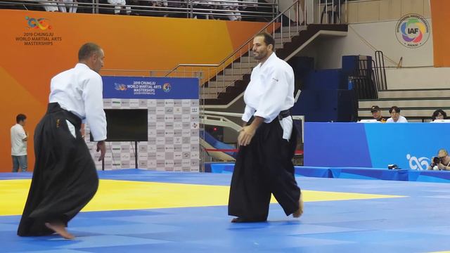 Guillaume ERARD - Aikido Experts - Chungju Martial Arts Masterships (2019) смотреть онлайн