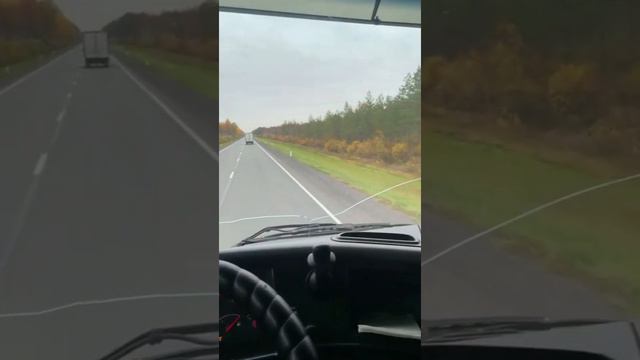 Дорога Россия 🇷🇺 и Казахстан 🇰🇿 смотреть онлайн