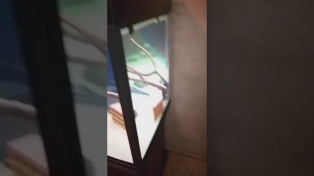 аквариум 500литров смотреть онлайн