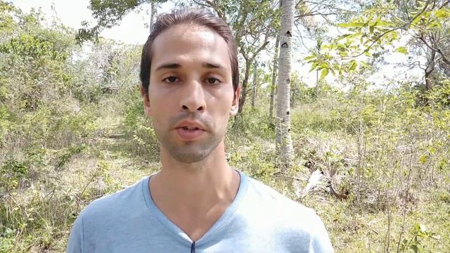 Как говорить на английском без акцента смотреть онлайн