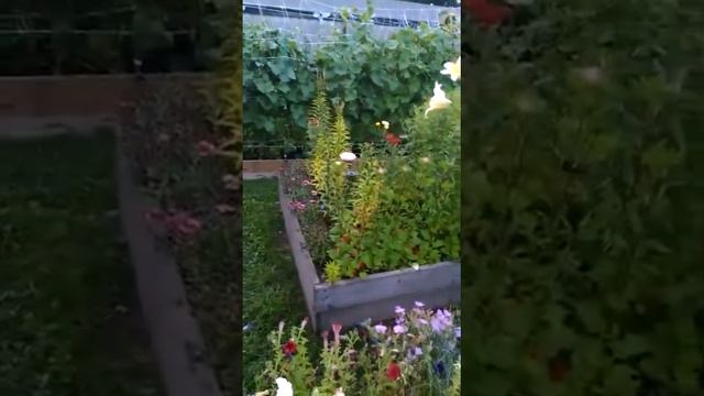 Рассвет на даче. смотреть онлайн