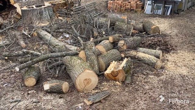 Купил свежие находки 2024 года. Таха продает торшер СССР. По глубинкам района в поисках артефактов смотреть онлайн