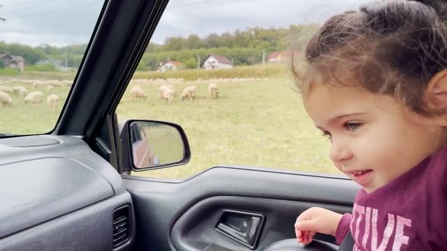 CUM NE PLAC NOUA DIMINETILE ?(VIDEO DIN ARHIVA) смотреть онлайн