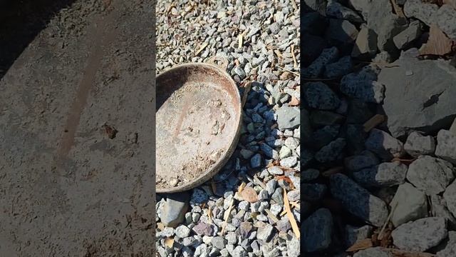 Обжëг чугунные сковороды! смотреть онлайн