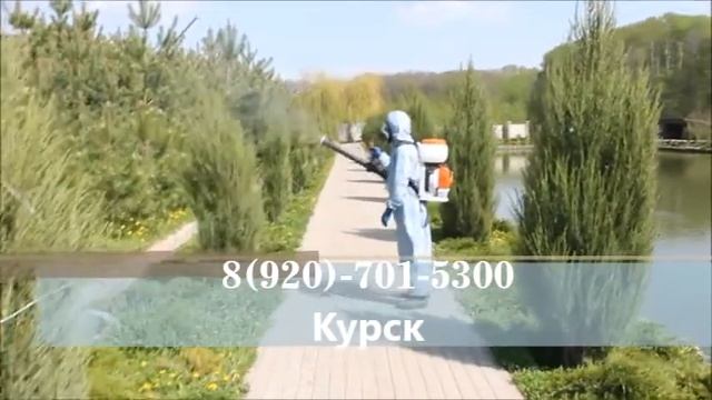 Как избавиться от клещей? смотреть онлайн