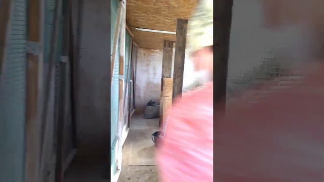 Генеральная уборка и побелка помещения для моих девочек #курятник #деревенская жизнь смотреть онлайн