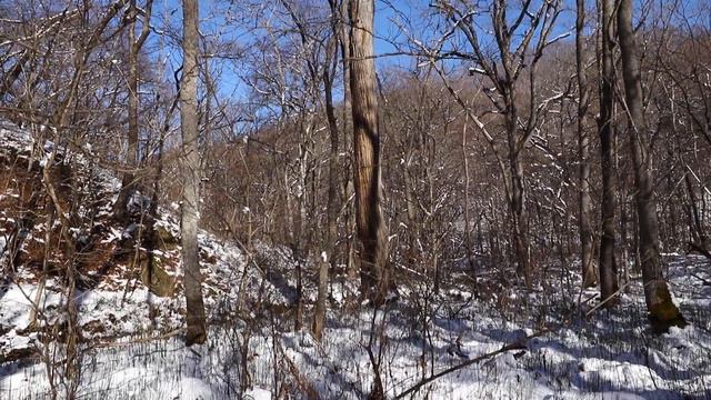 13 11 2021 г. Прогулка Дебри Уссурийской тайги Водопады .Красота Travel stories Tourism Nature смотреть онлайн