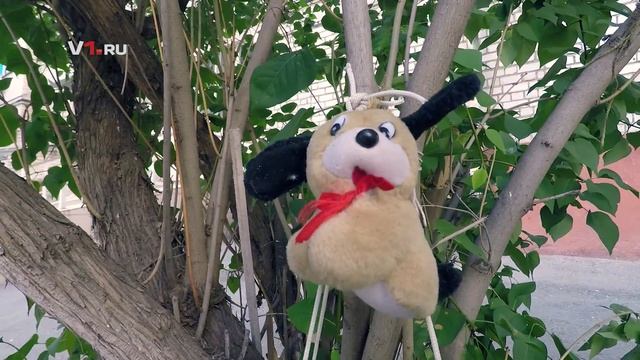 Самый длинный дом в России смотреть онлайн