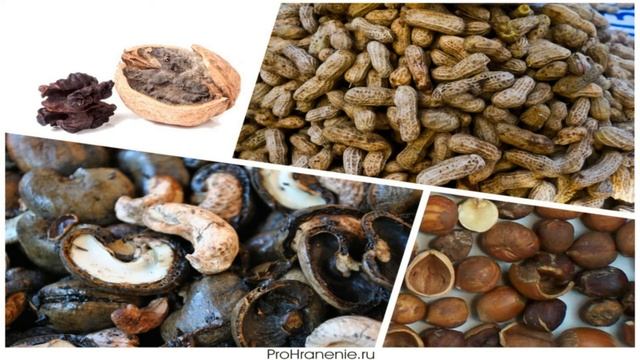 Как и где правильно хранить орехи в домашних условиях смотреть онлайн