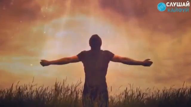 Виктор петлюра новинка смотреть онлайн