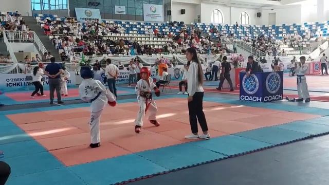 Alimkent.itf. смотреть онлайн