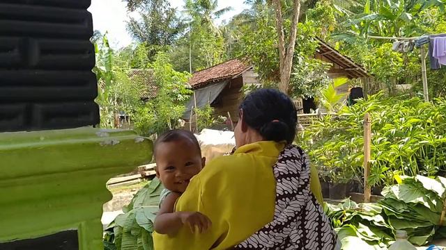 VIRAL!! DAUN TALAS BISA BUAT TEMBAKAU смотреть онлайн